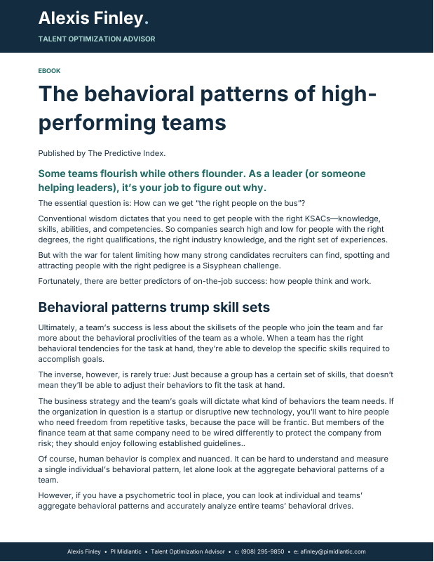 Cover preview: The Behavioral Patterns of High-Performing Teams