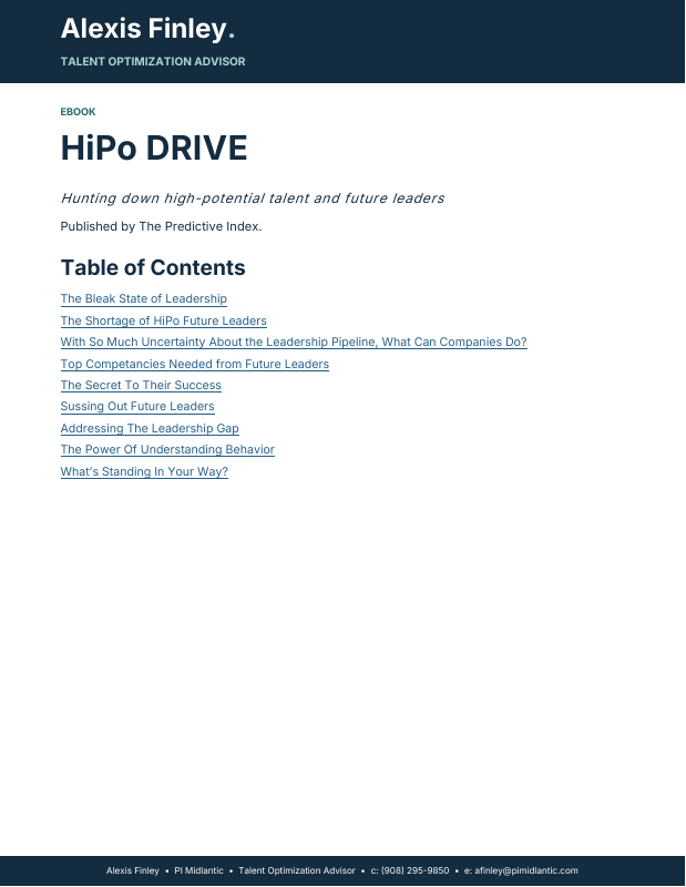 Cover preview: Hunting Down High-Potential Talent and Future Leaders